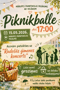 Piknikballe.jpeg